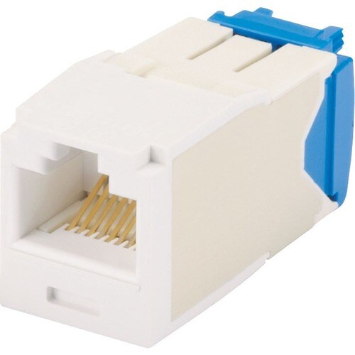 24PK MINI-COM MOD CAT 6A UTP 8 POS 8 WI MOQ24