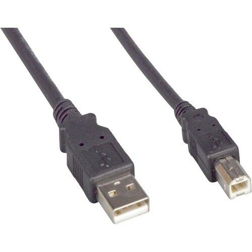 10FT USB 2.0 A MALE TO B MALE BLACK CABLE